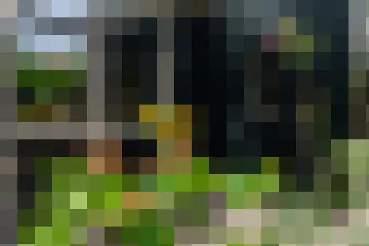 Dotter 9 Doorn thumbnail 37