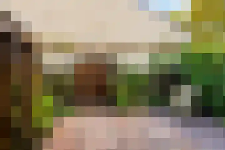 Dotter 9 Doorn thumbnail 4