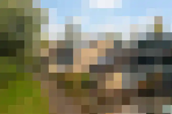 Dotter 9 Doorn thumbnail 6