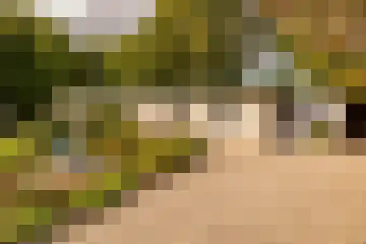 Dotter 9 Doorn thumbnail 7