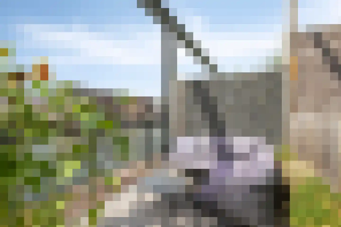 Dotter 9 Doorn thumbnail 9