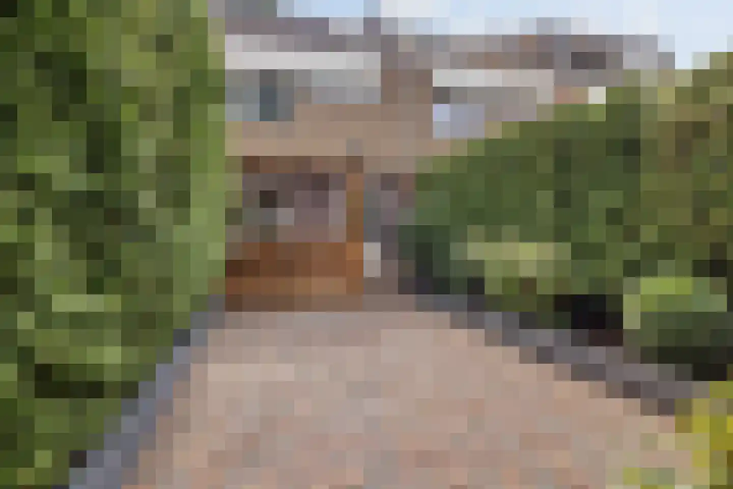 Dotterbeek 35 Veldhoven thumbnail 31