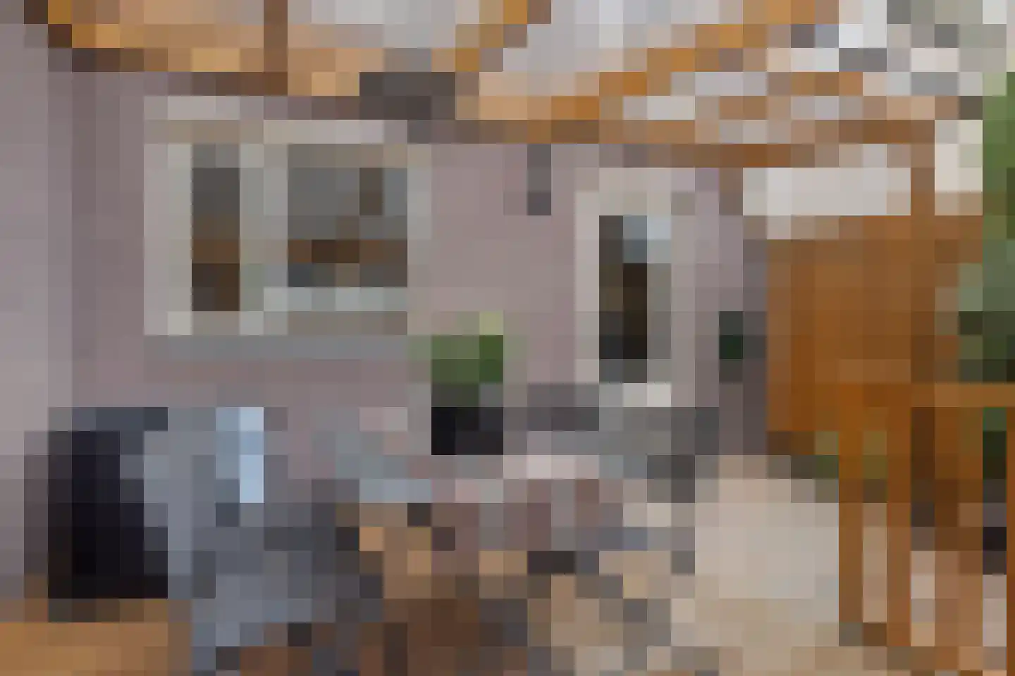 Dotterbeek 35 Veldhoven thumbnail 33
