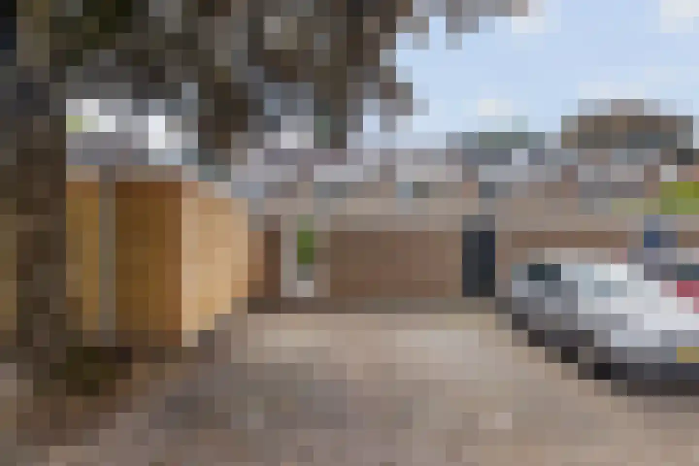 Dotterbeek 35 Veldhoven thumbnail 37