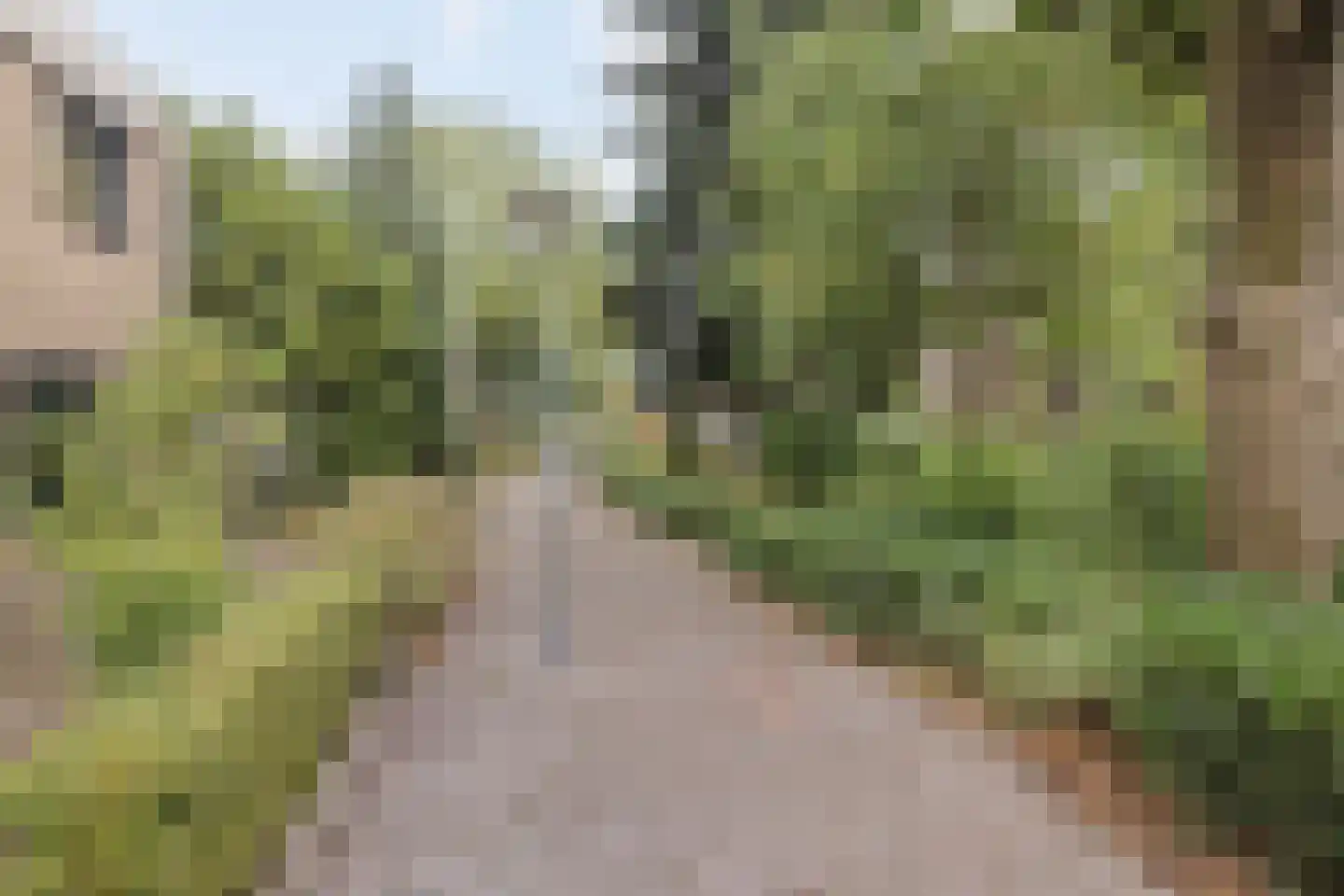 Dotterbeek 35 Veldhoven thumbnail 59