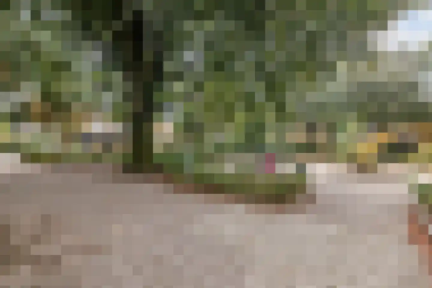 Dotterbeek 35 Veldhoven thumbnail 7