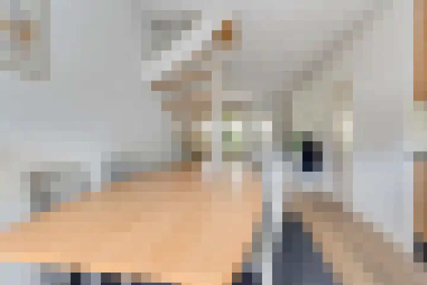 Dotterbeek 9 Veldhoven thumbnail 12