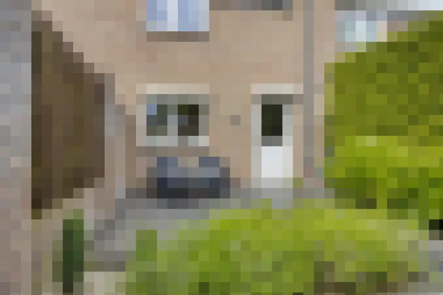 Dotterbeek 9 Veldhoven thumbnail 27