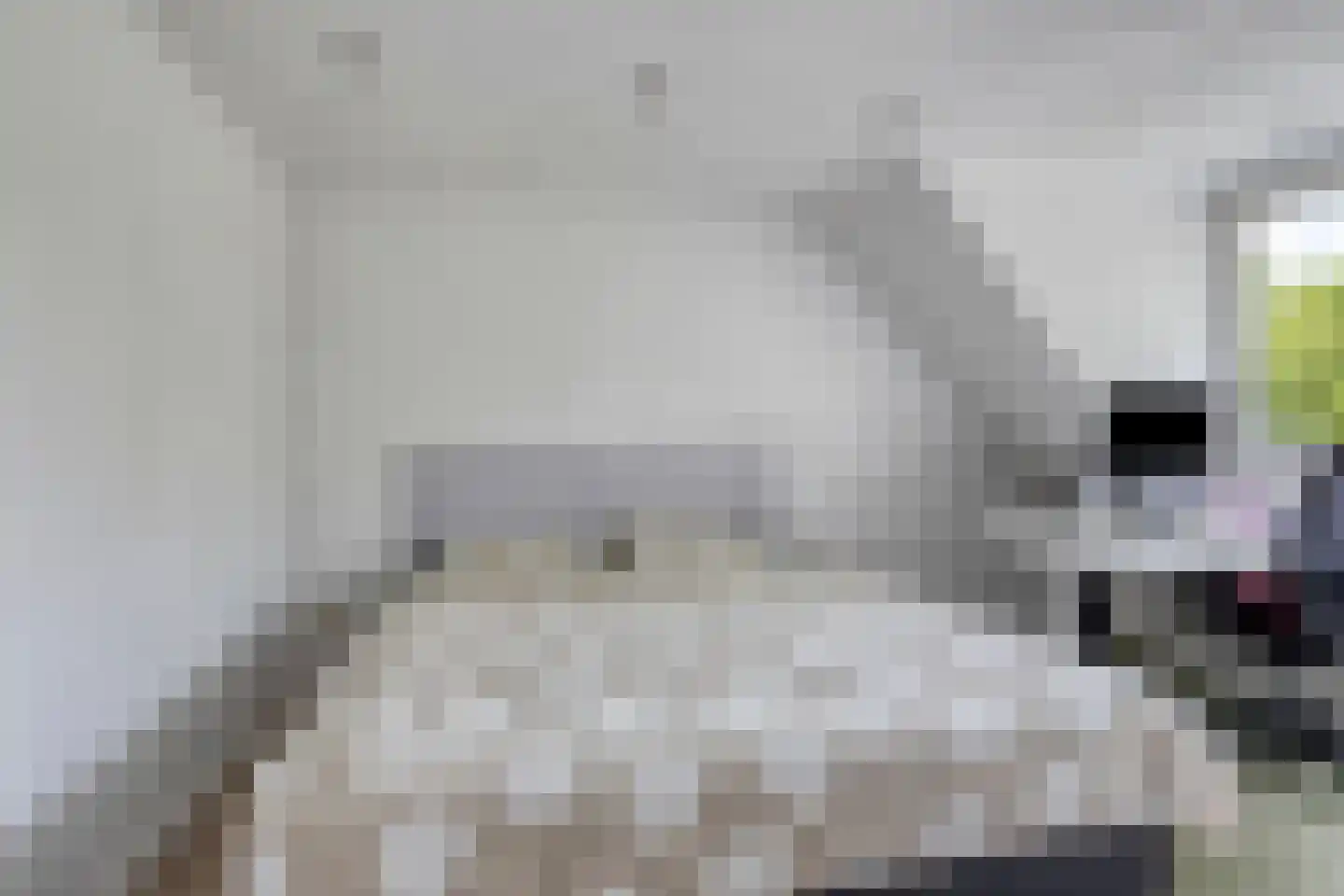 Dotterbeek 9 Veldhoven thumbnail 32