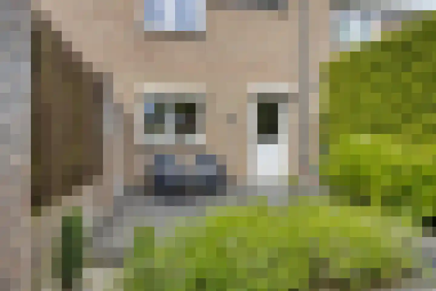 Dotterbeek 9 Veldhoven thumbnail 39