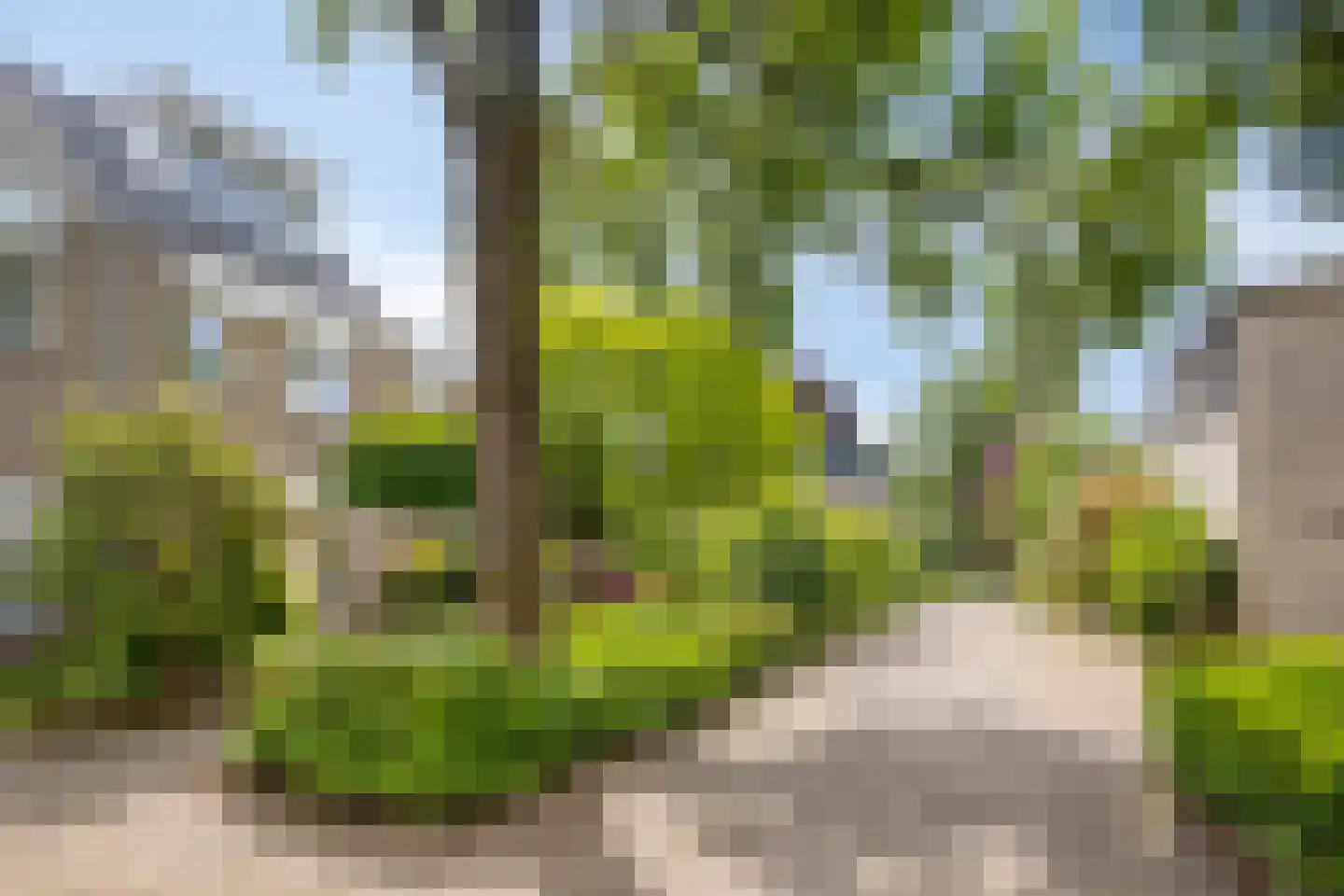 Dotterbeek 9 Veldhoven thumbnail 4