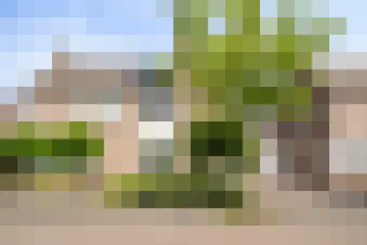 Dotterbeemd 16 Valkenswaard thumbnail 5