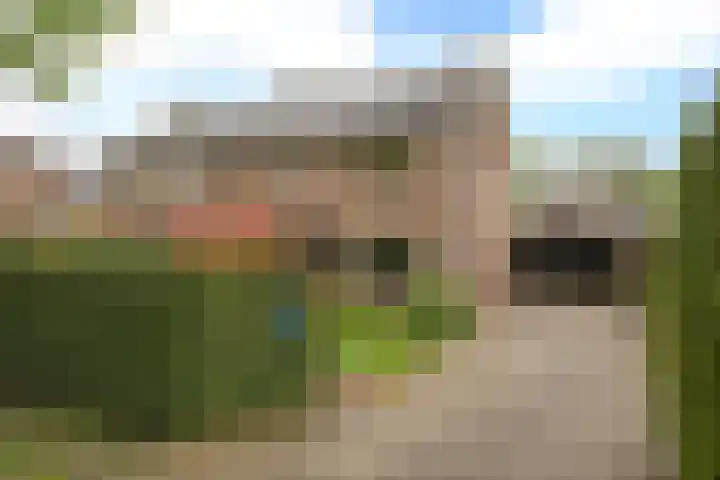 Dotterbeemd 4 Blaricum