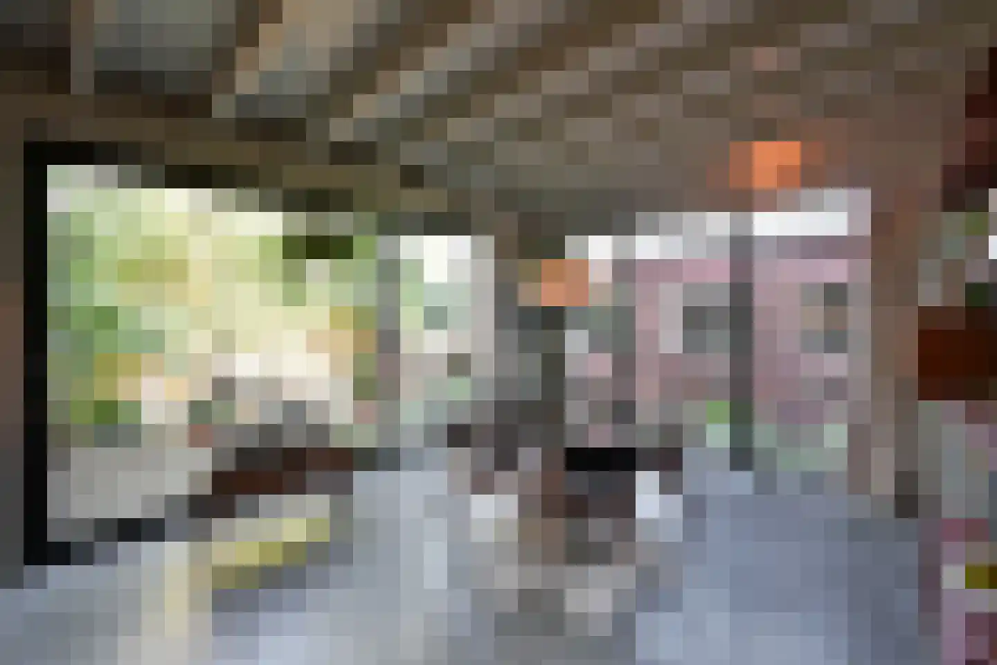 Dotterbeemd 7 Blaricum thumbnail 11
