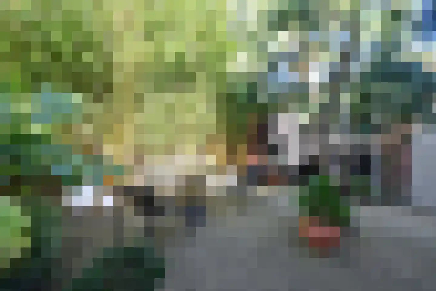 Dotterbeemd 7 Blaricum thumbnail 14