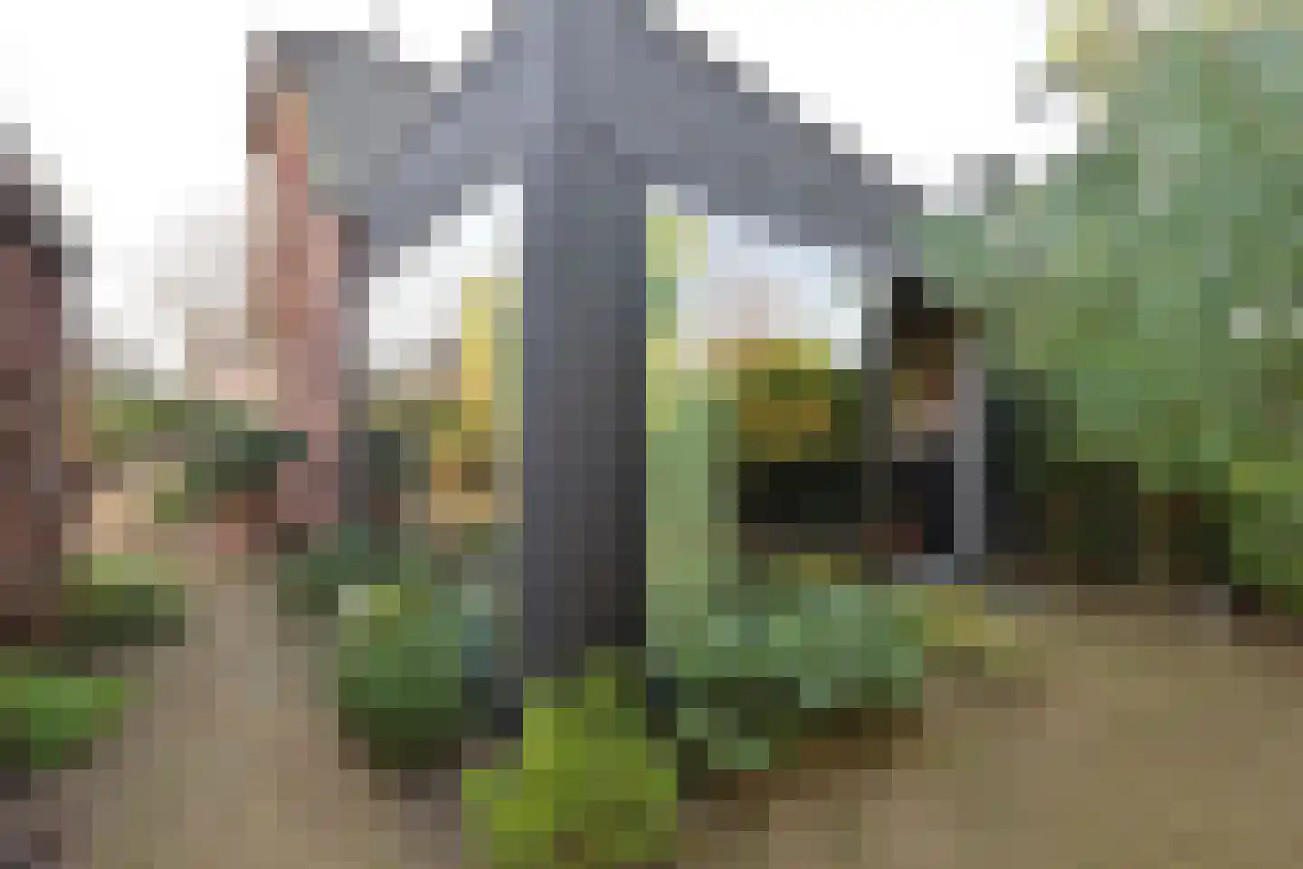 Dotterbeemd 7 Blaricum thumbnail 15