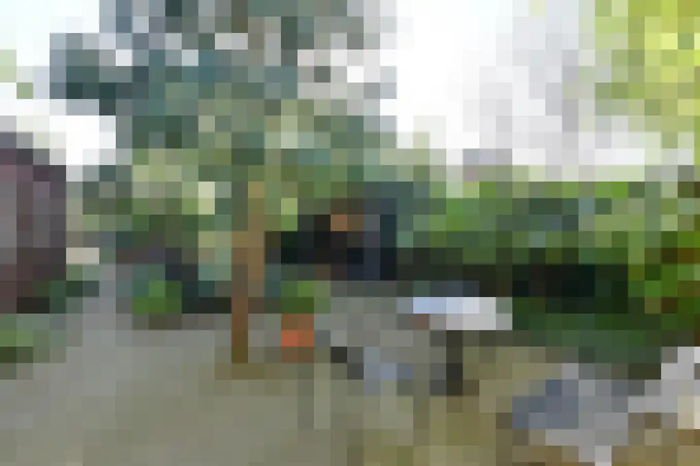 Dotterbeemd 7 Blaricum thumbnail 17