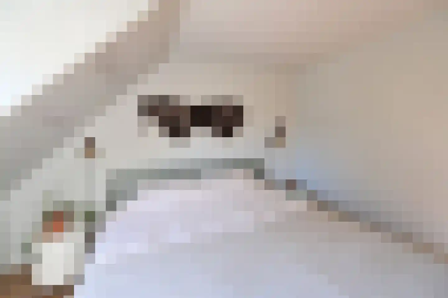 Dotterbeemd 7 Blaricum thumbnail 21