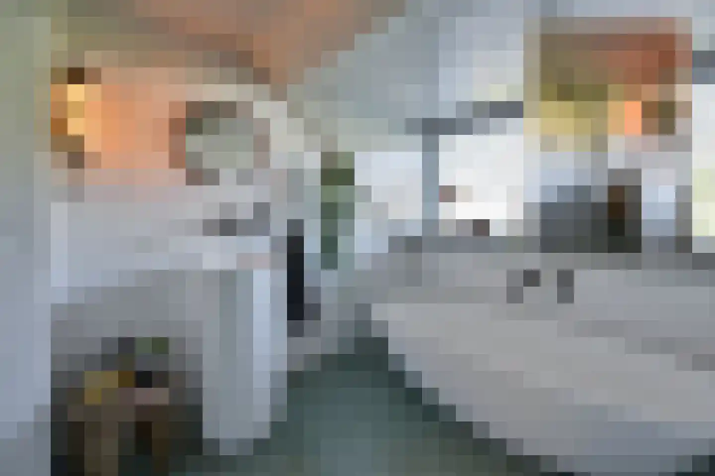 Dotterbeemd 7 Blaricum thumbnail 23