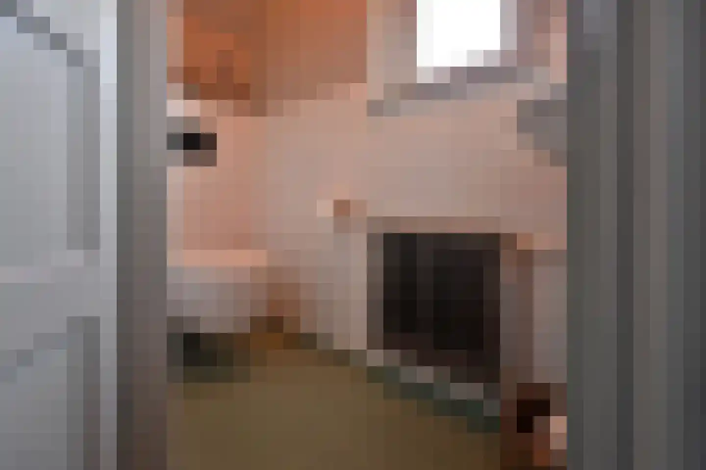 Dotterbeemd 7 Blaricum thumbnail 24