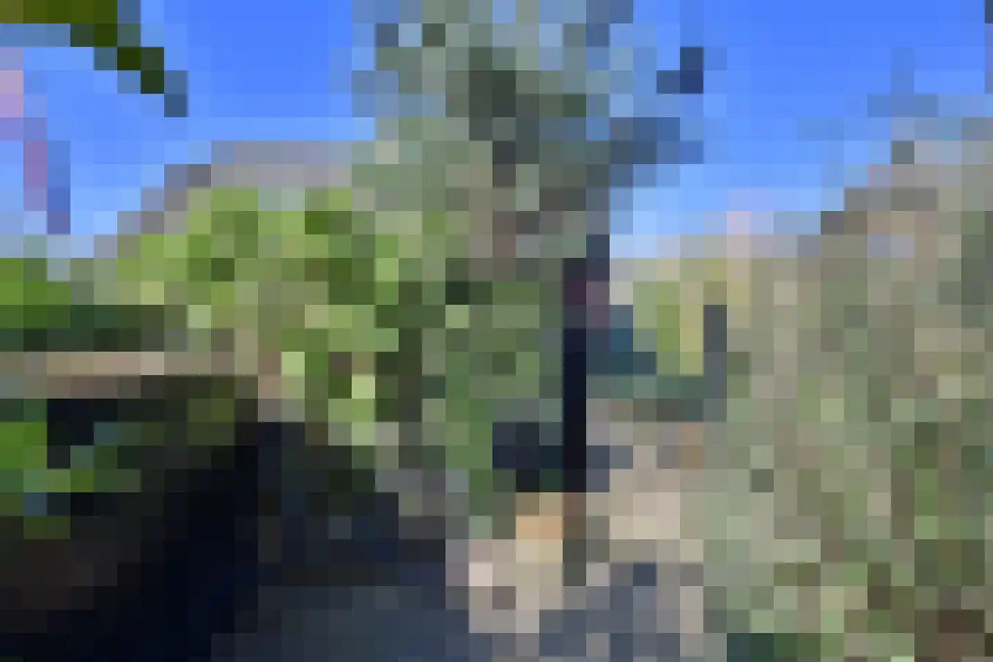 Dotterbeemd 7 Blaricum thumbnail 28