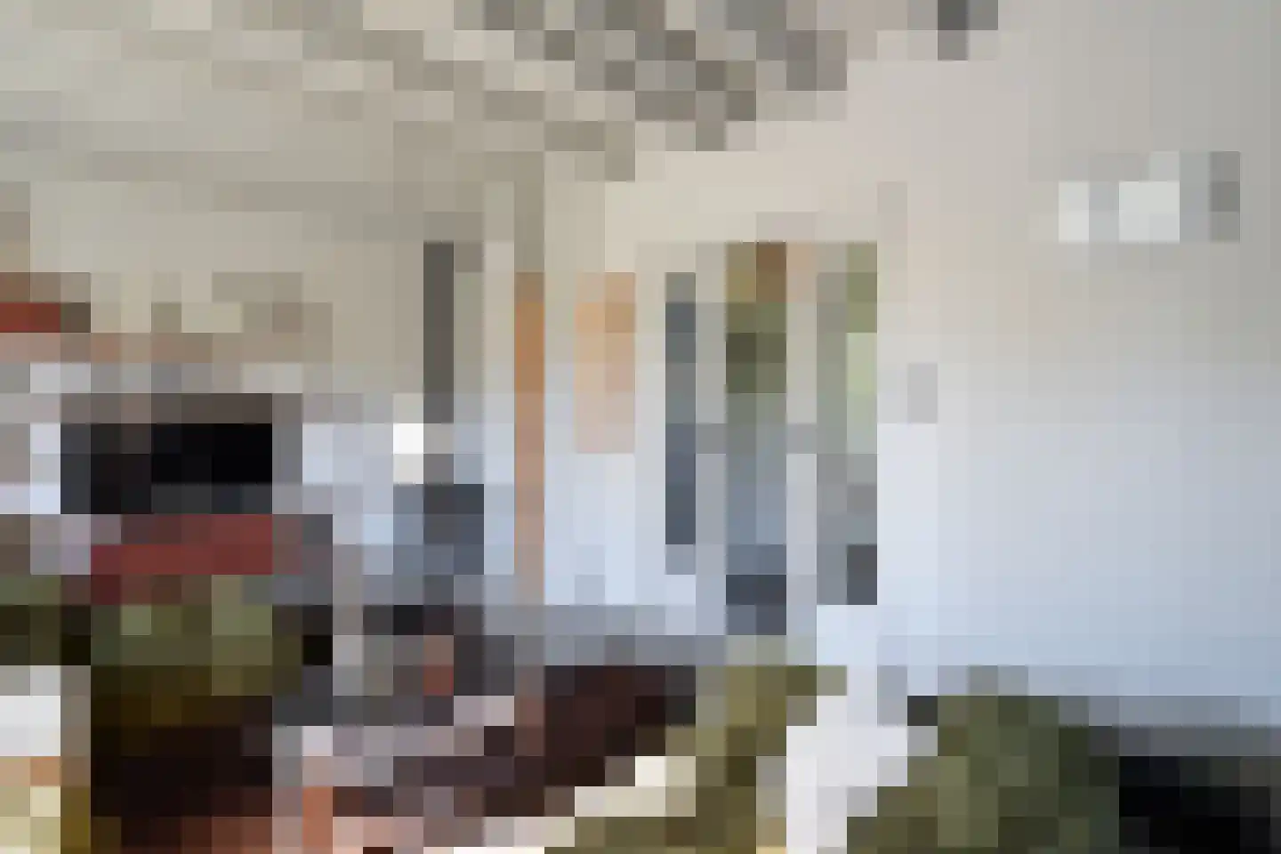 Dotterbeemd 7 Blaricum thumbnail 5