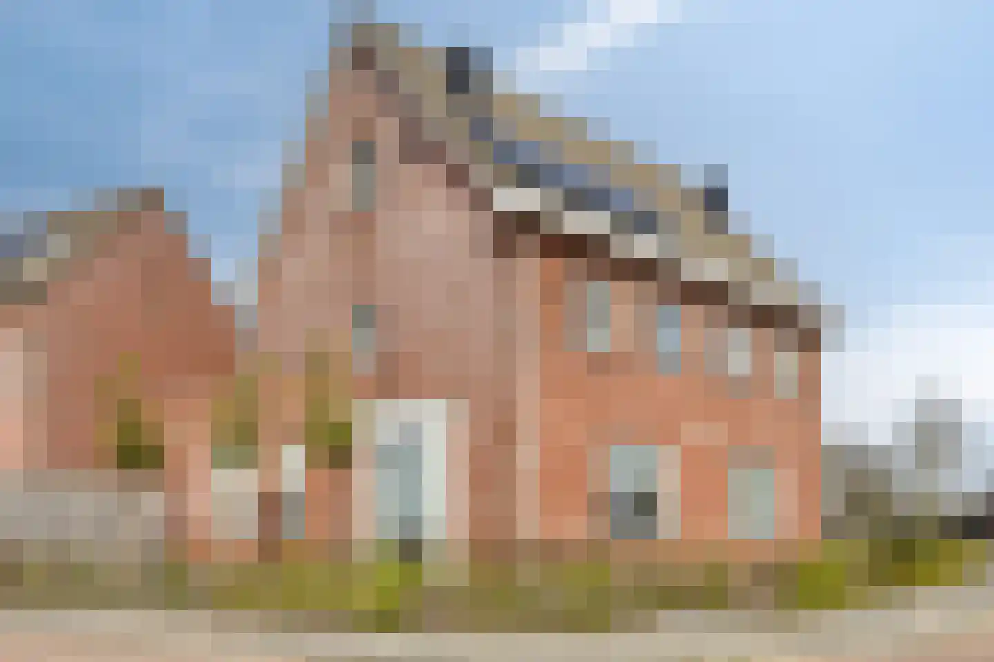 Dotterbloem 1 en Boekel