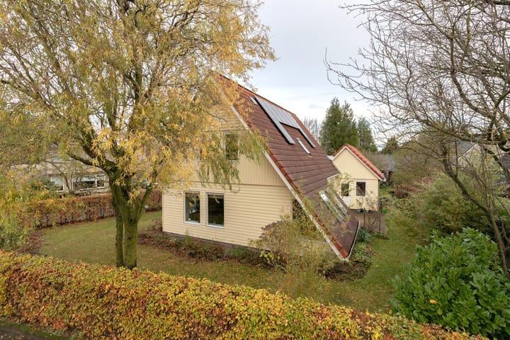 Dotterbloem 1 dans Zuidhorn photo