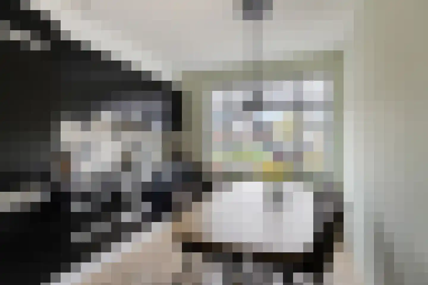 Dotterbloem 1 Boekel thumbnail 14