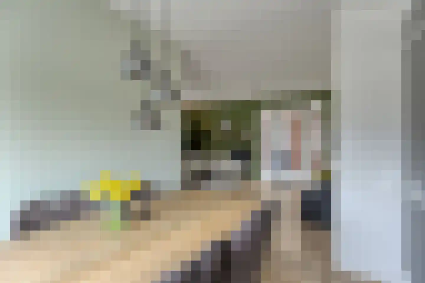 Dotterbloem 1 Boekel thumbnail 16
