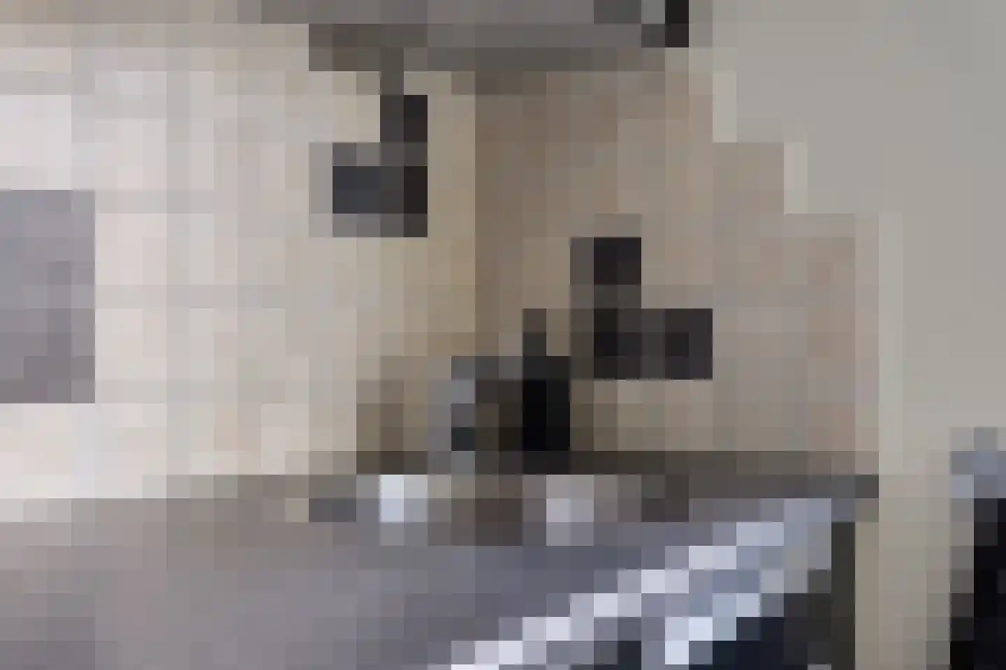 Dotterbloem 1 Boekel thumbnail 17