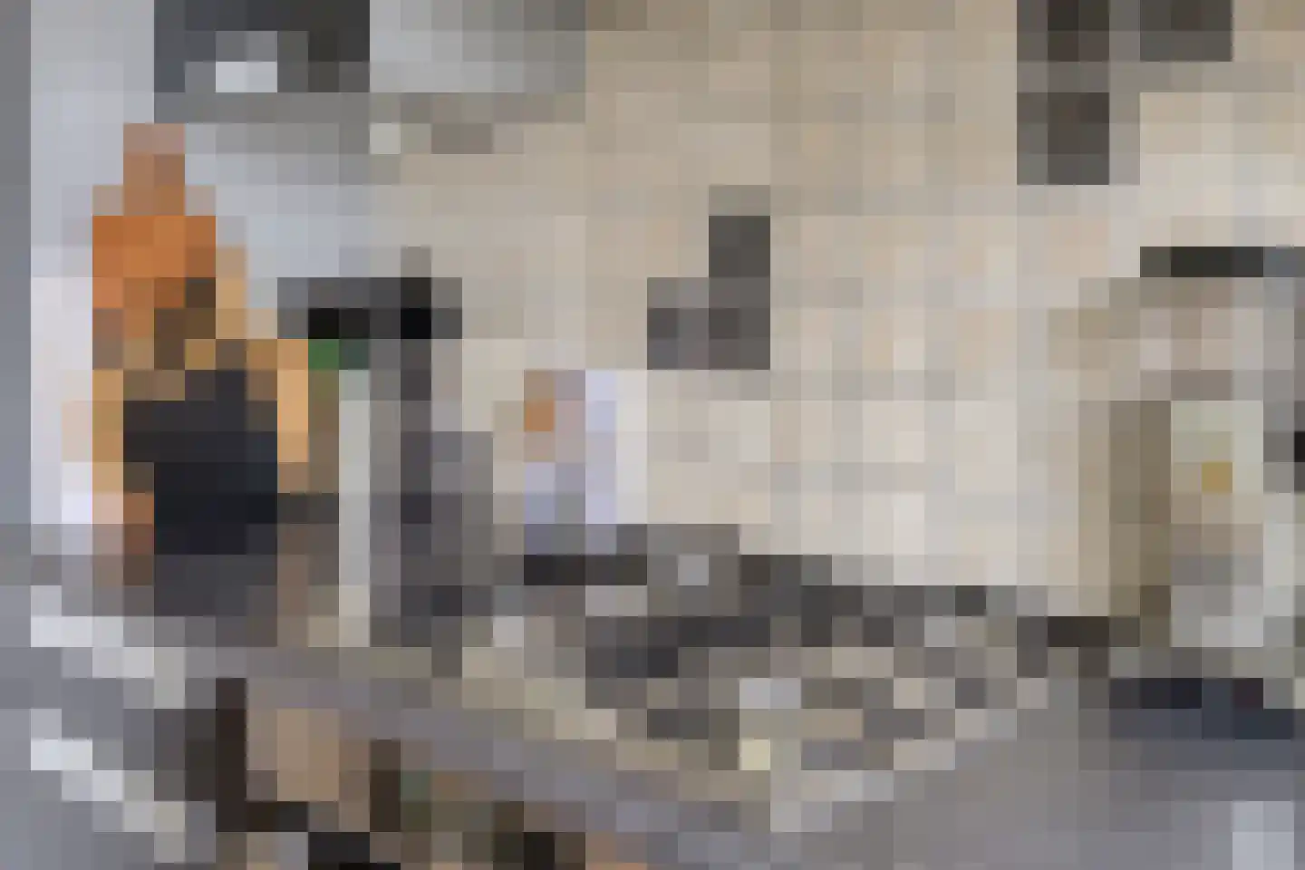 Dotterbloem 1 Boekel thumbnail 18