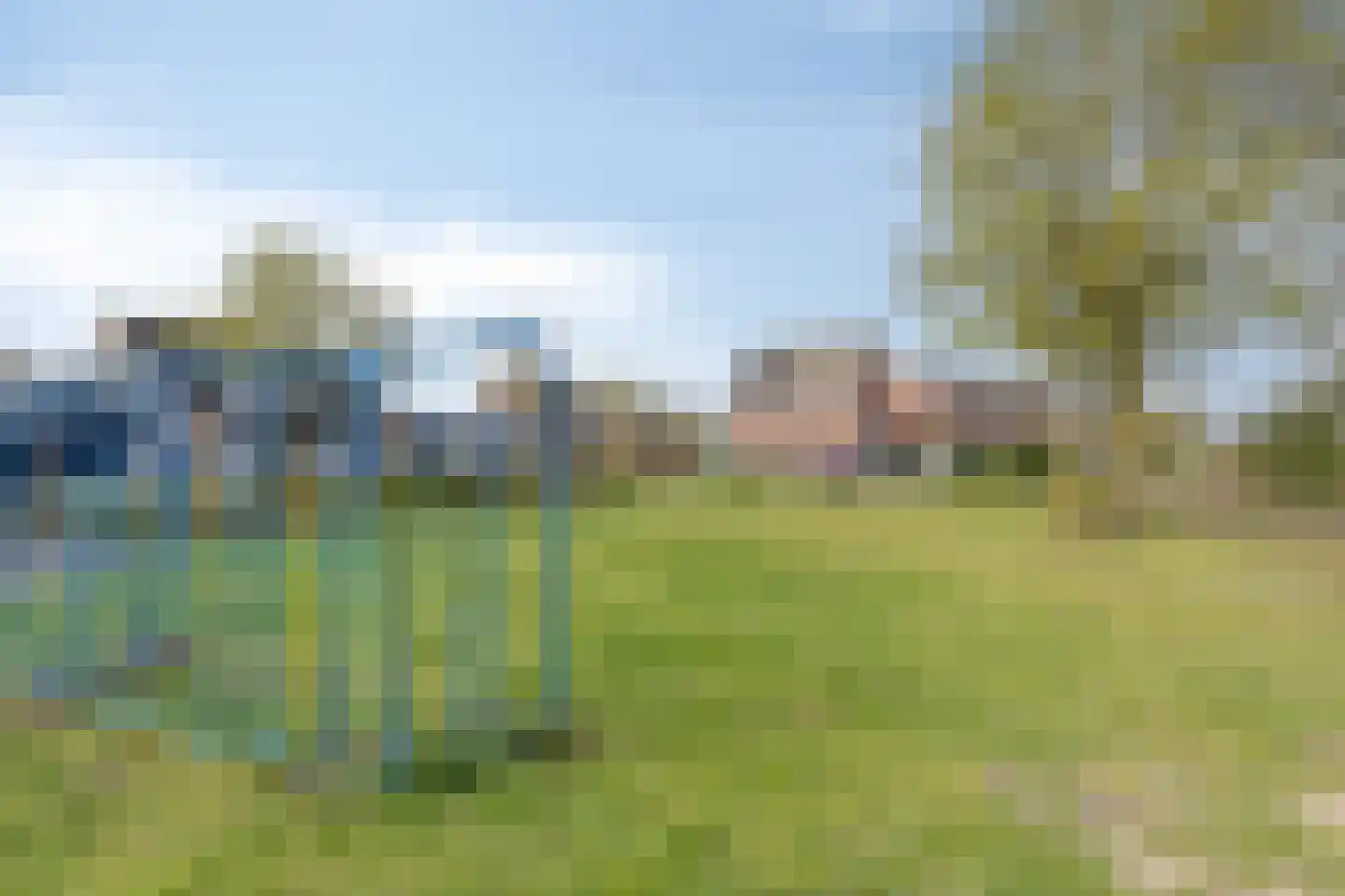 Dotterbloem 1 Boekel thumbnail 34
