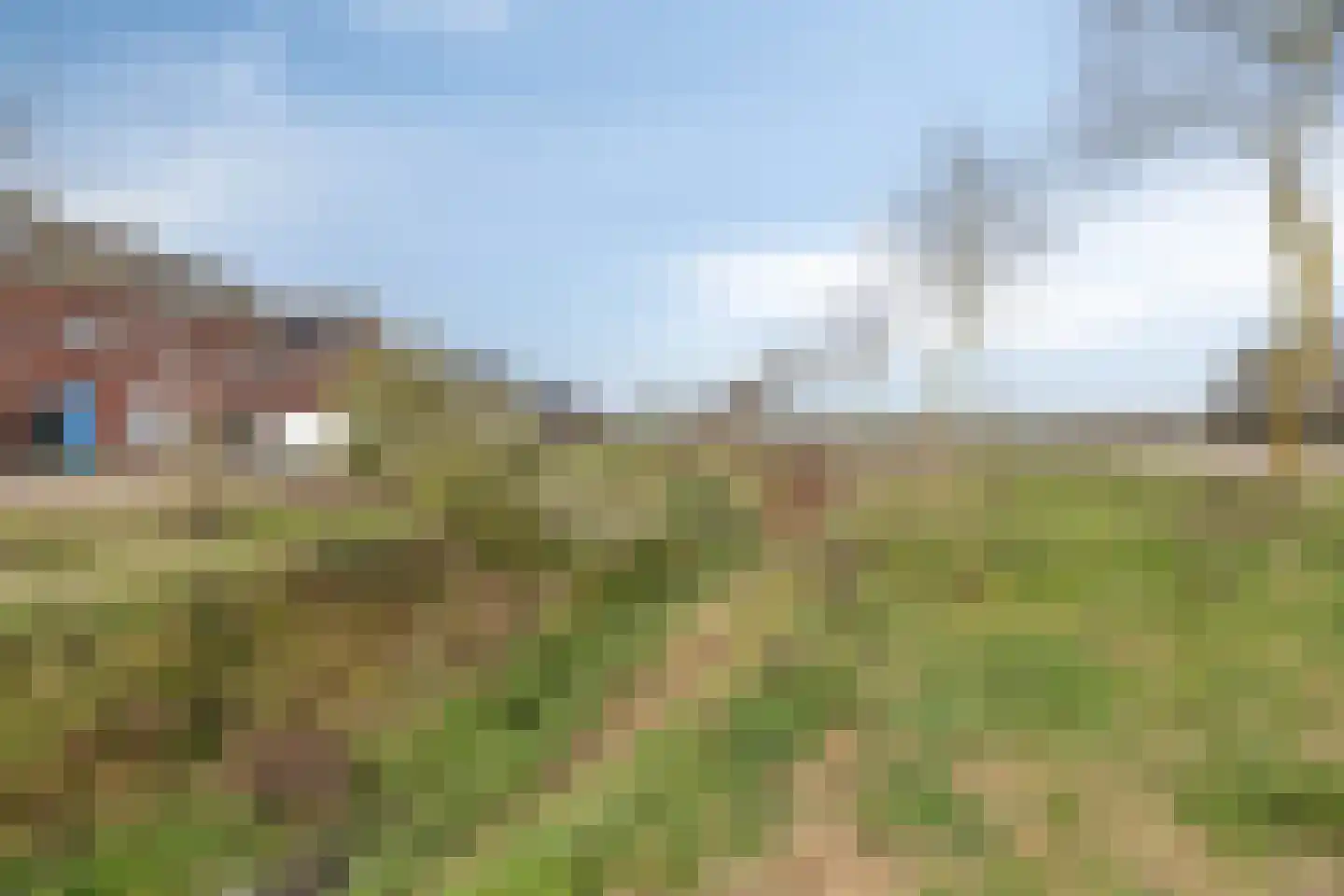 Dotterbloem 1 Boekel thumbnail 35