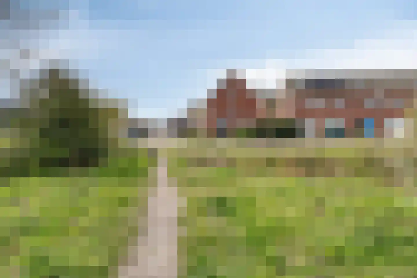 Dotterbloem 1 Boekel thumbnail 36