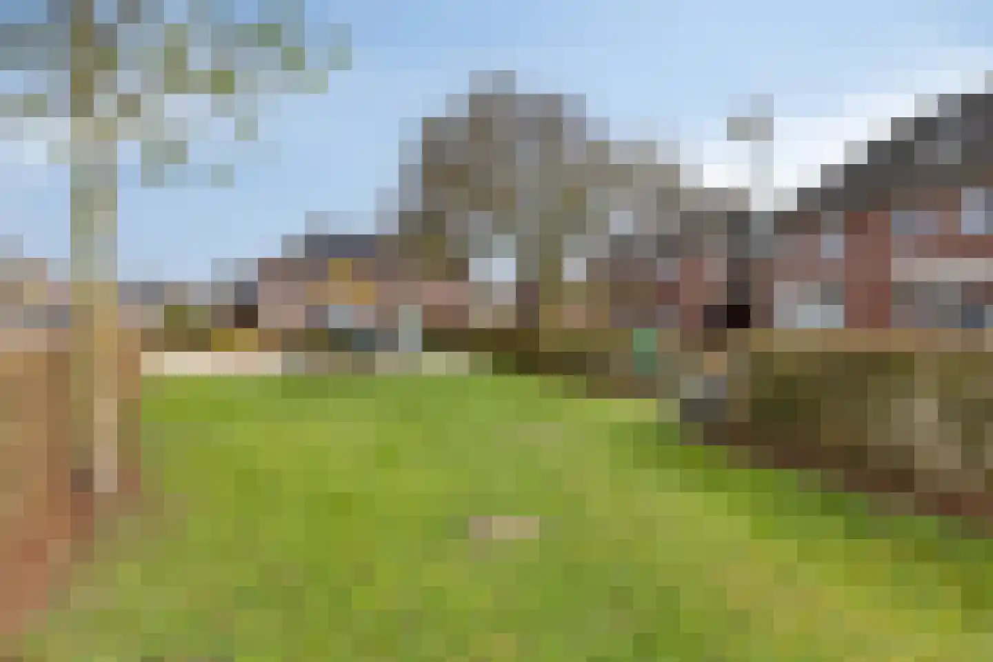 Dotterbloem 1 Boekel thumbnail 37