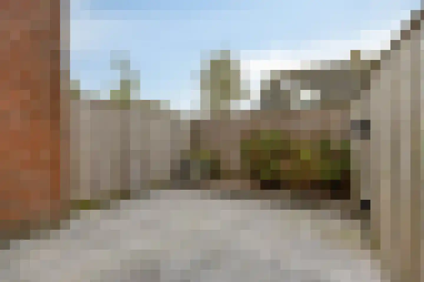 Dotterbloem 1 Boekel thumbnail 5