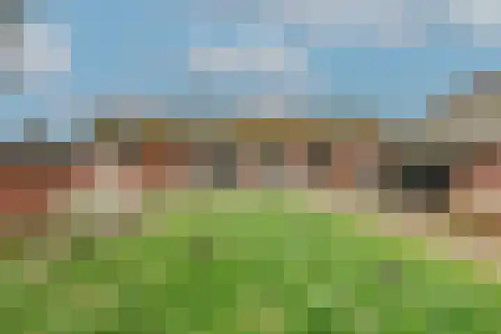 Dotterbloem 1 Wilnis thumbnail 23