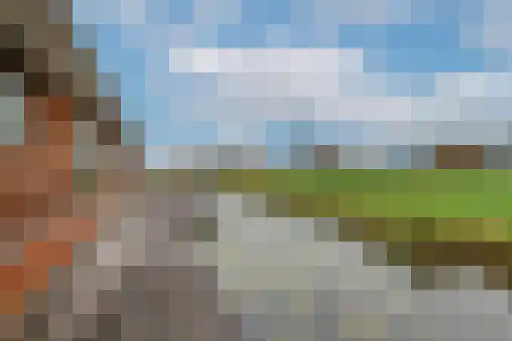 Dotterbloem 1 Wilnis thumbnail 27