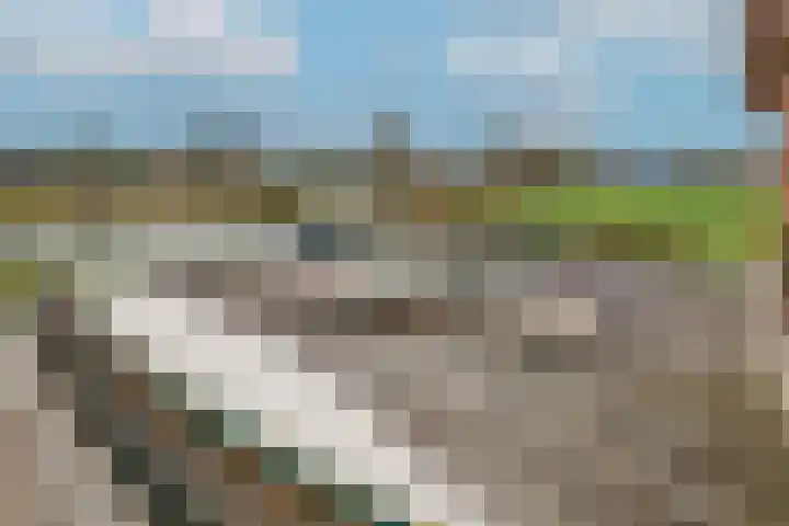 Dotterbloem 1 Wilnis thumbnail 31