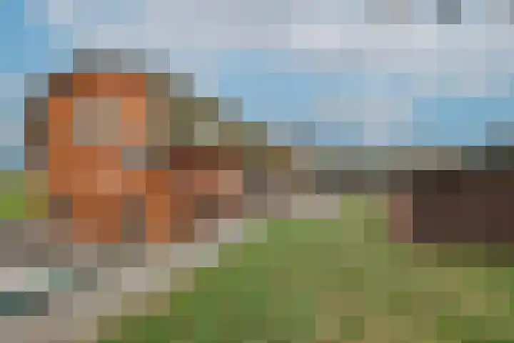 Dotterbloem 1 Wilnis thumbnail 32
