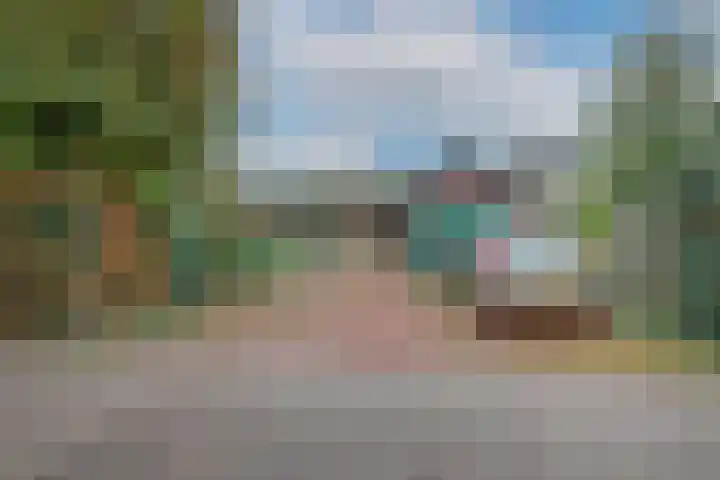 Dotterbloem 1 Wilnis thumbnail 36