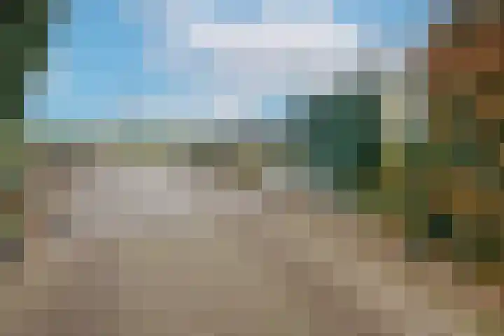 Dotterbloem 1 Wilnis thumbnail 39