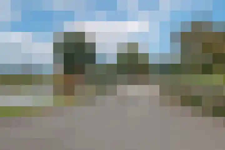 Dotterbloem 1 Wilnis thumbnail 40