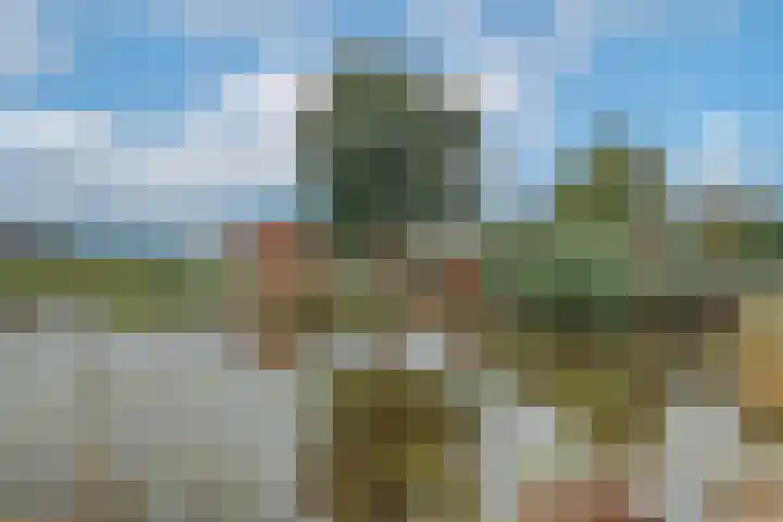 Dotterbloem 1 Wilnis thumbnail 41