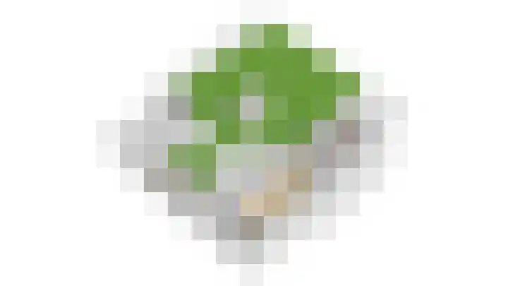 Dotterbloem 1 Wilnis thumbnail 47