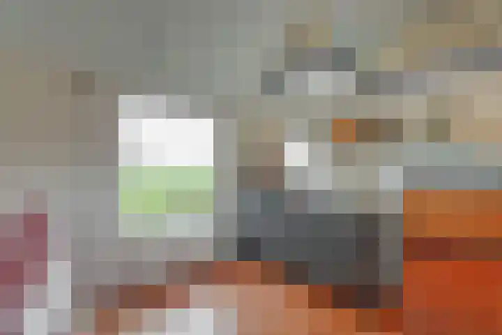 Dotterbloem 1 Wilnis thumbnail 7
