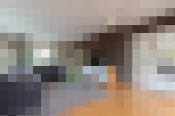Dotterbloem 1 Zuidhorn thumbnail 12