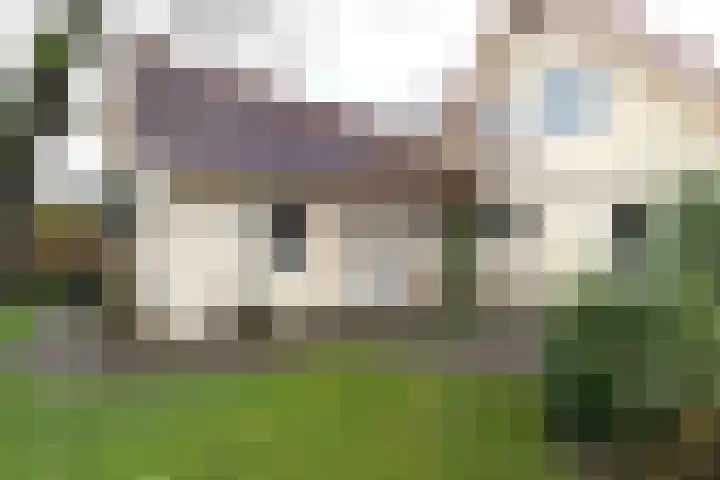 Dotterbloem 1 Zuidhorn thumbnail 16