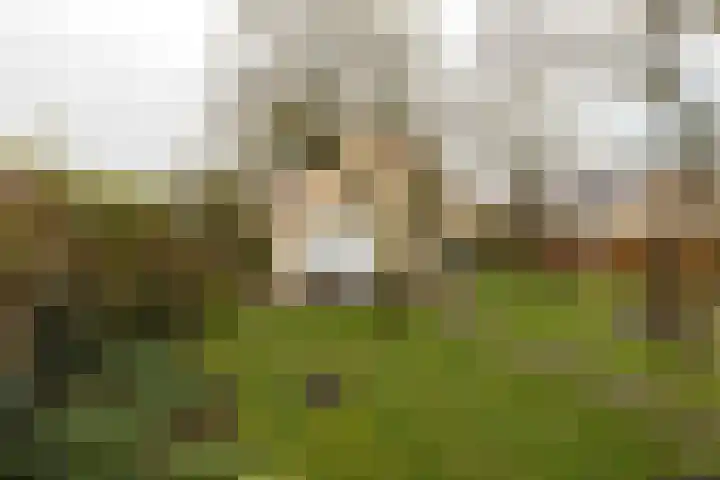 Dotterbloem 1 Zuidhorn thumbnail 21